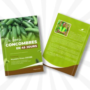Culture concombres