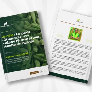 Culture de Gombo