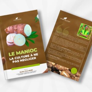 CULTURE DU MANIOC
