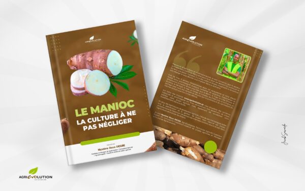 CULTURE DU MANIOC