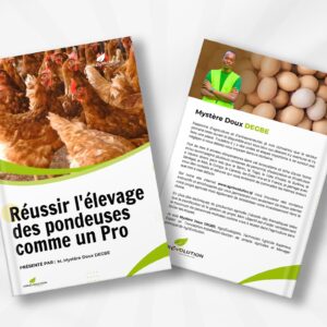 L'ÉLEVAGE DES POULES PONDEUSES